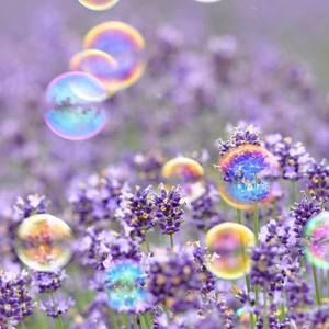 Meet your Posher, Csm